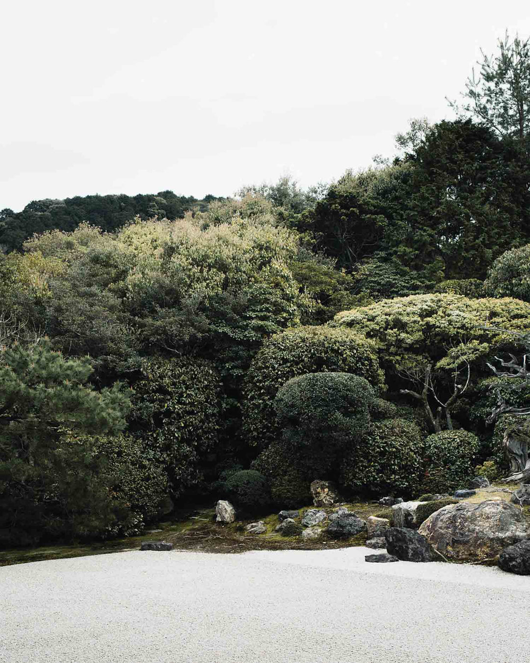 Lessons from Kyoto's ancient zen gardens, with Andrew William