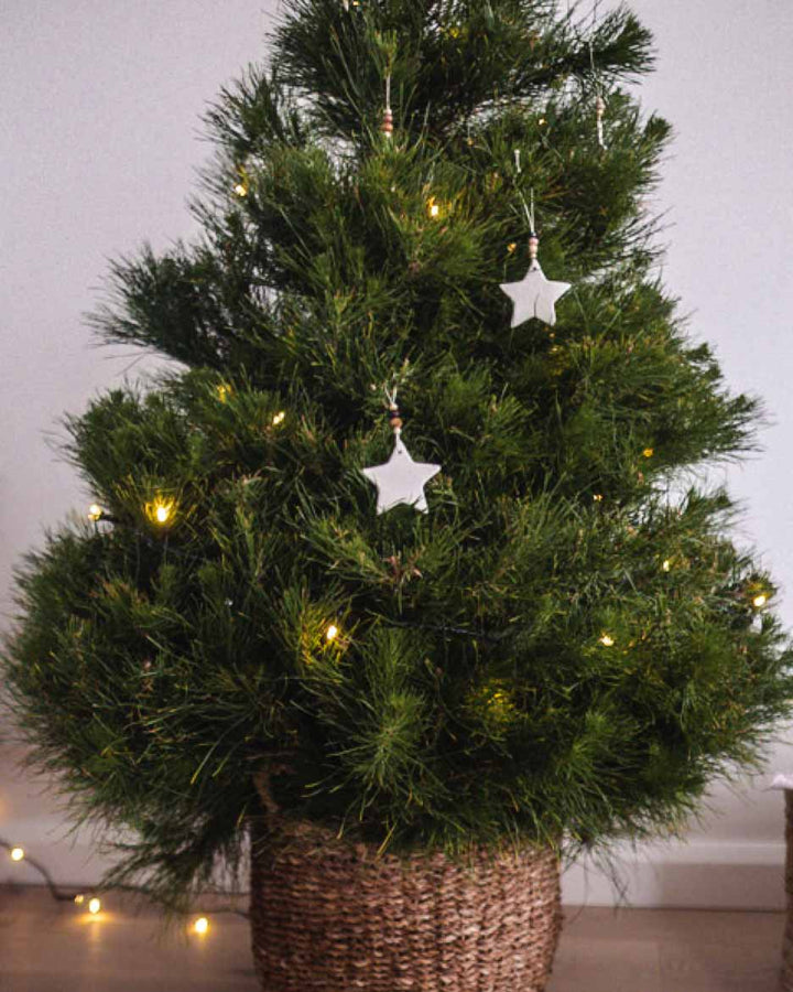 Christmas Stars