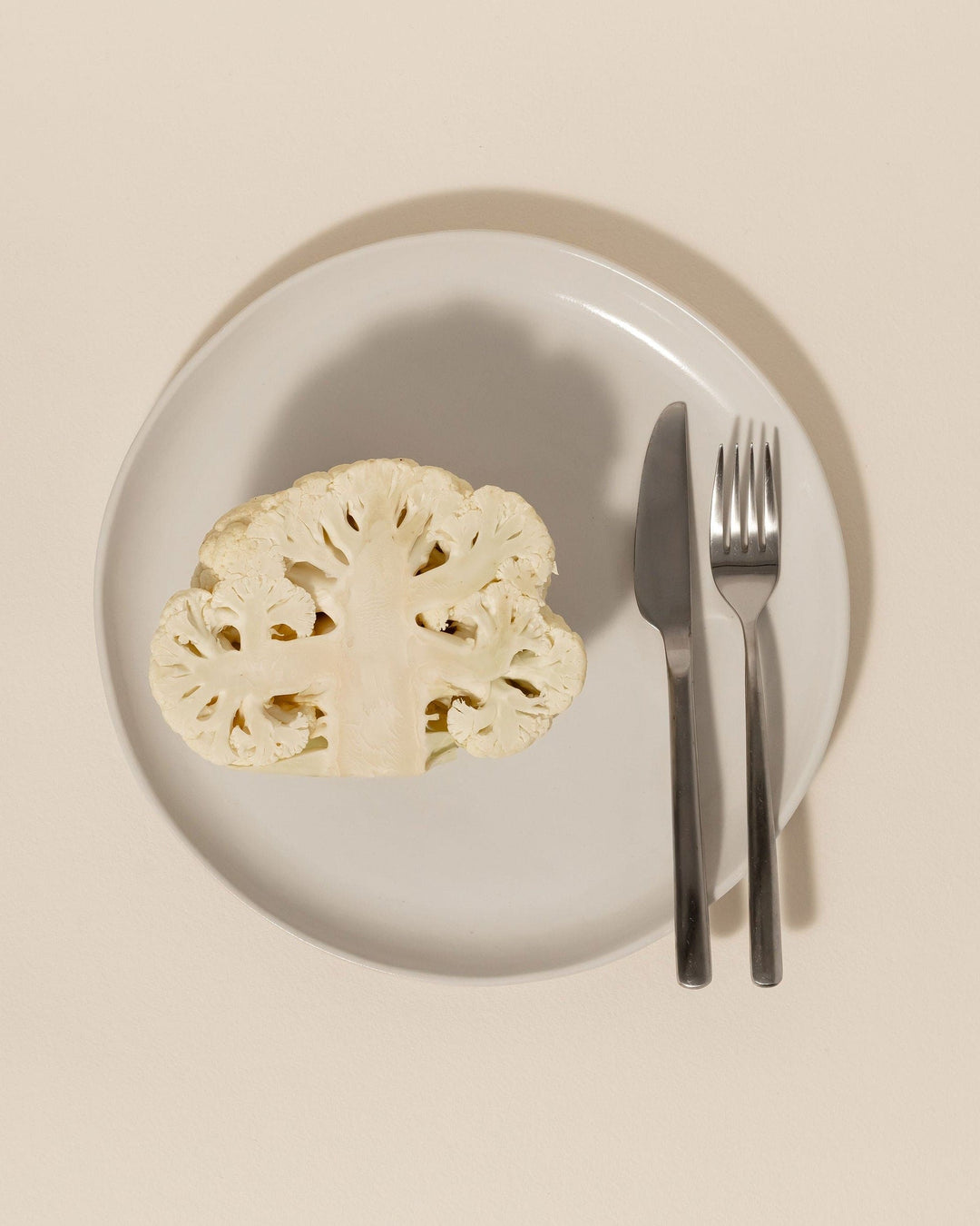 Dinner Plate - Oversized