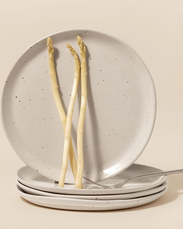 Dinner Plate