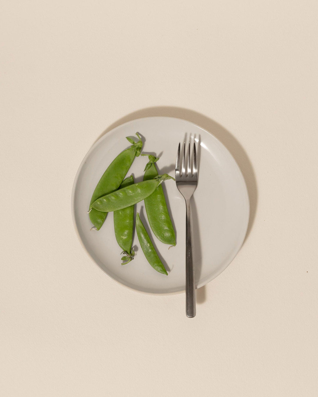 Kanso (entree) Plate