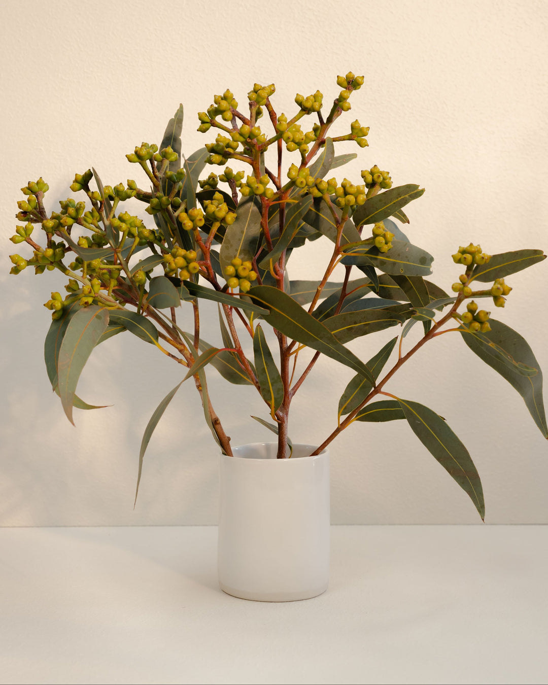 Florist Vase