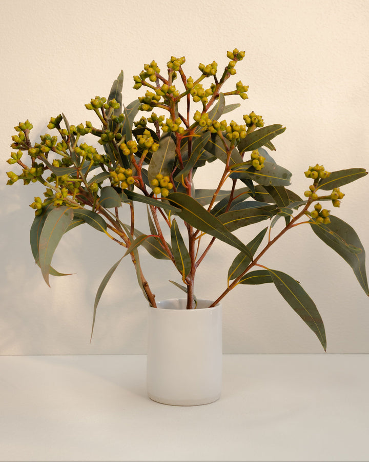Florist Vase