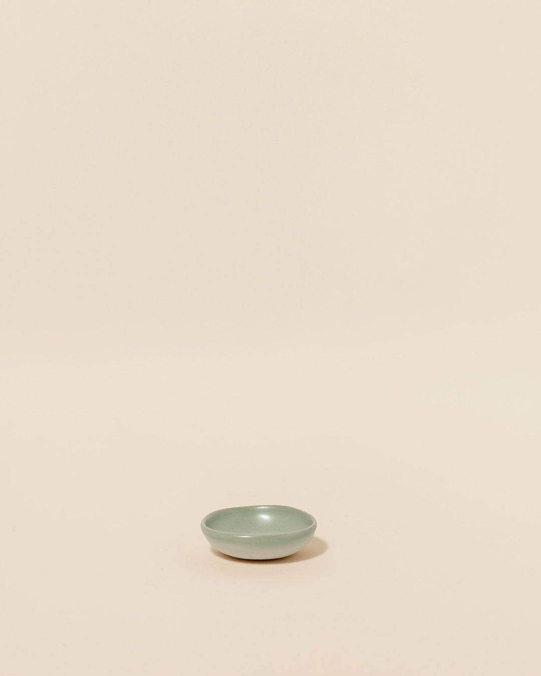 Mini Dish