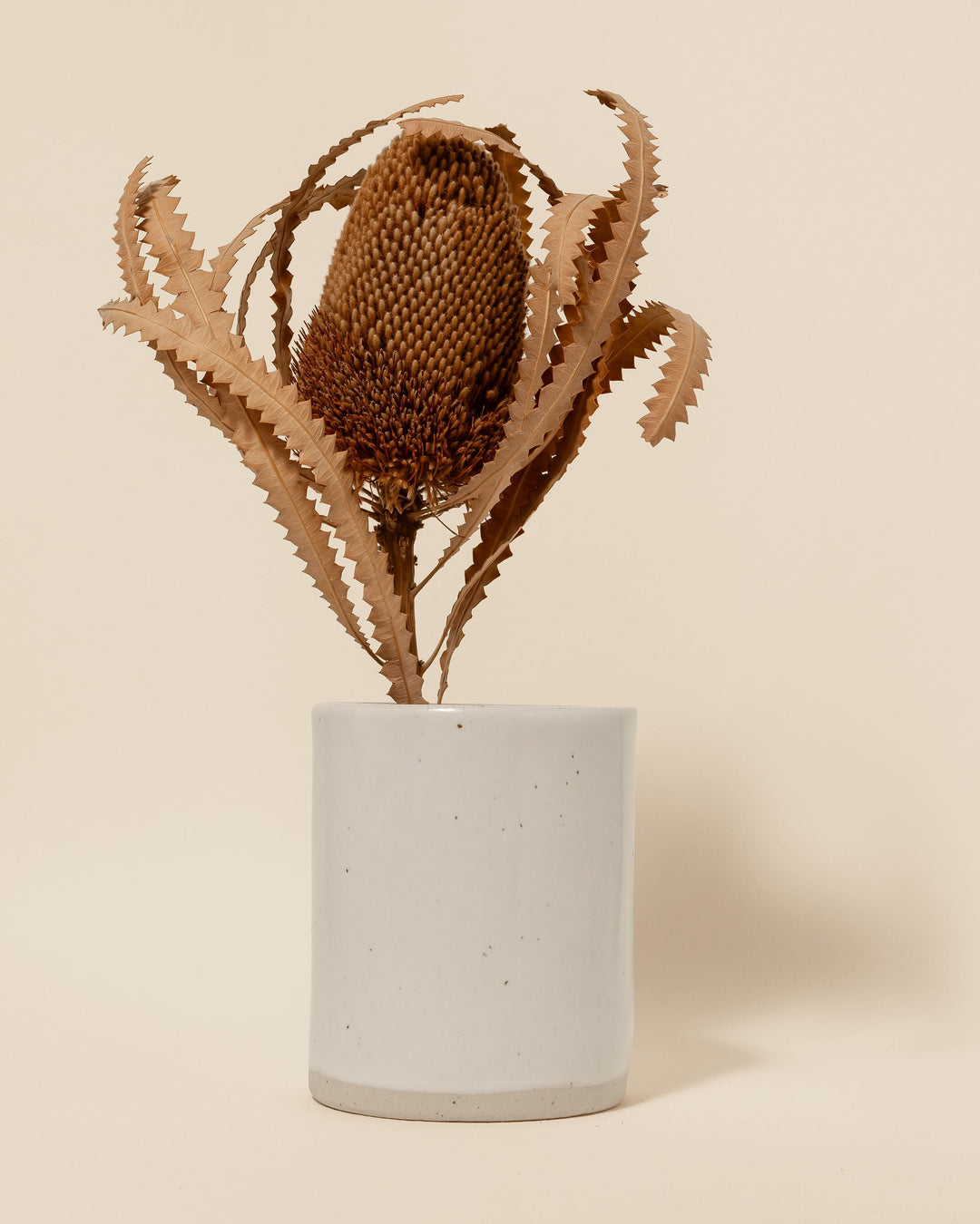 Florist Vase